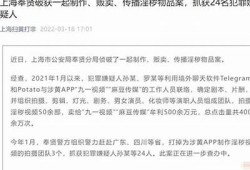 麻豆影祝传媒：引领新媒体时代的影视发展方向与机遇