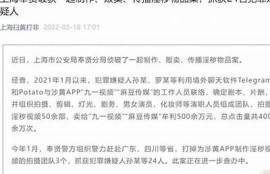 麻豆影祝传媒：引领新媒体时代的影视发展方向与机遇