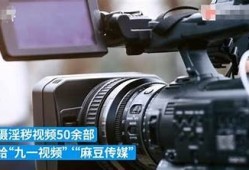 如何通过迅雷观看麻豆传媒最新大片，快速获取链接的方法分享