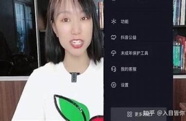 抖阴刷币技巧全攻略，轻松获取更多收益的方法