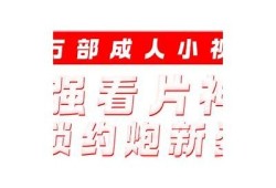 抖阴橙人版：新玩法解析与使用技巧，助你轻松上手